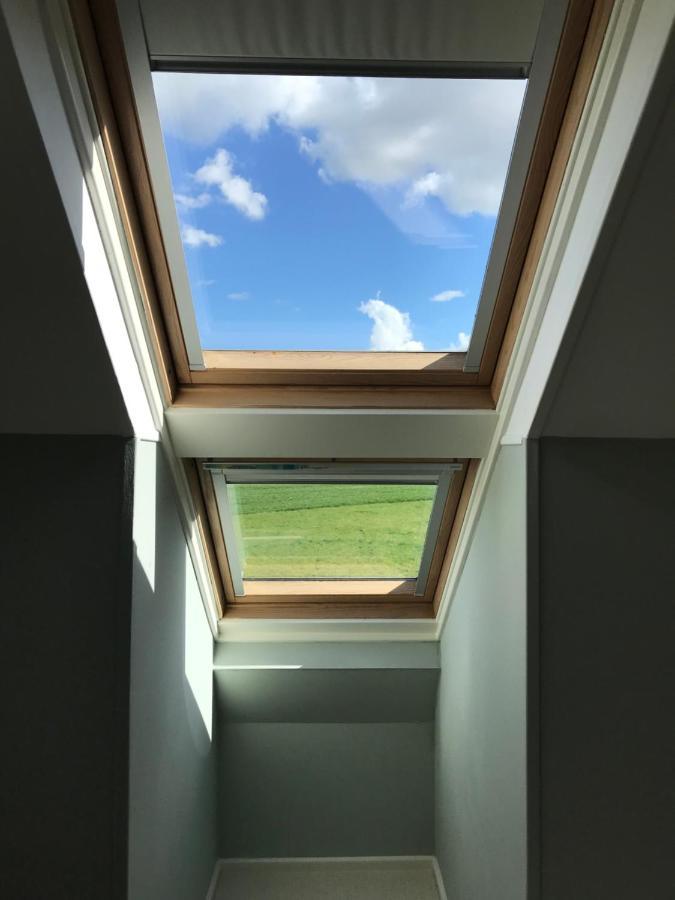 Willow Barn Luxury Countryside Accommodation In Bury St Edmunds Bury St. Edmunds Bagian luar foto
